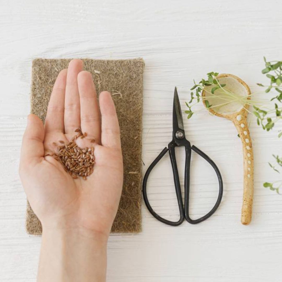 Les bienfaits du lin germé pour la santé de vos os et articulations