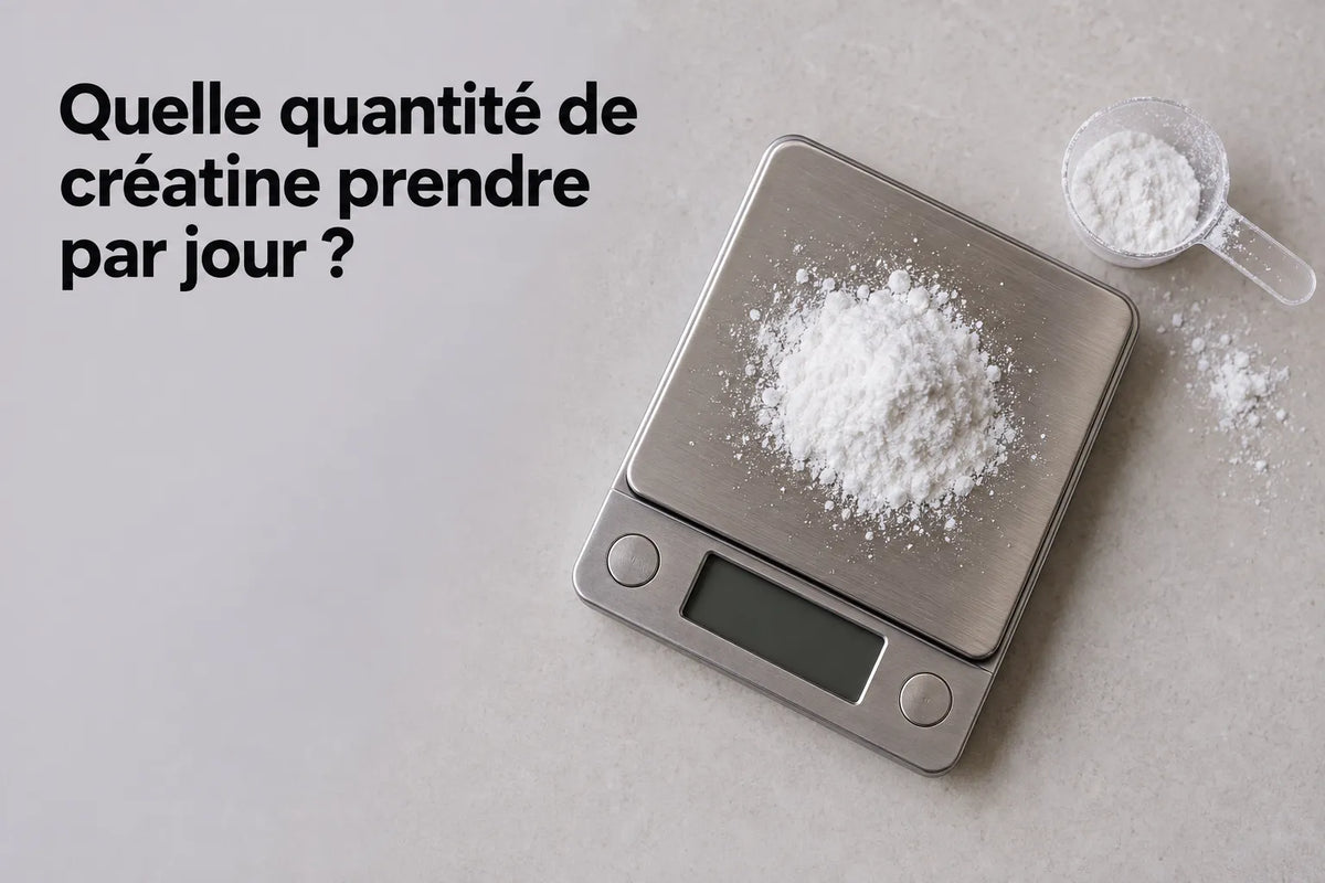 Quelle quantité de créatine prendre par jour ?
