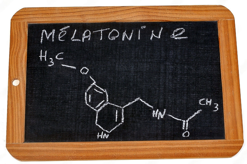 Mélatonine - Complément Alimentaire - Sommeil - SFB Laboratoires