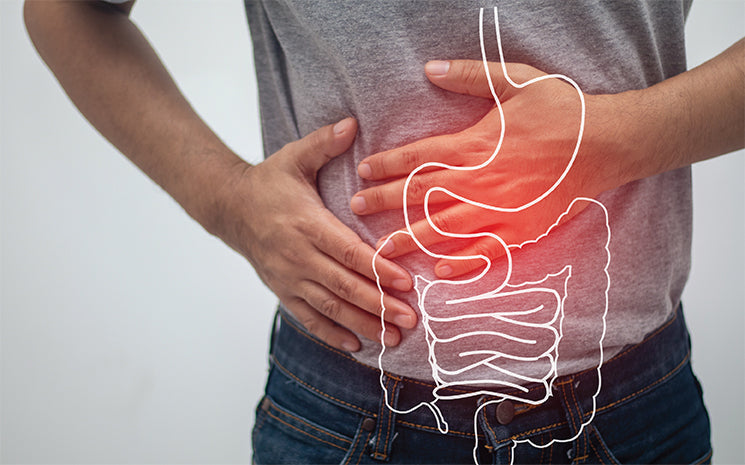 Vitamine U - Complément Alimentaire - Gastro'Regul - SFB Laboratoires