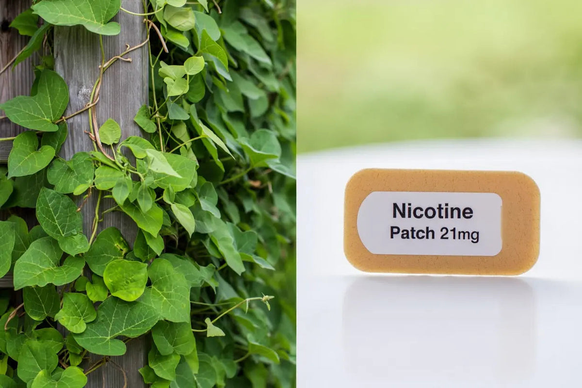 Guide complet pour arrêter de fumer naturellement