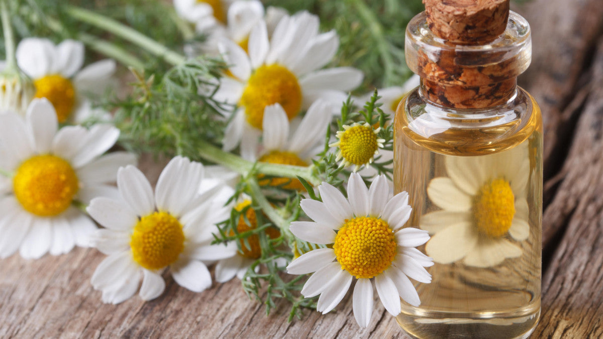 Mélatonine - Complément Alimentaire - Sommeil - SFB Laboratoires