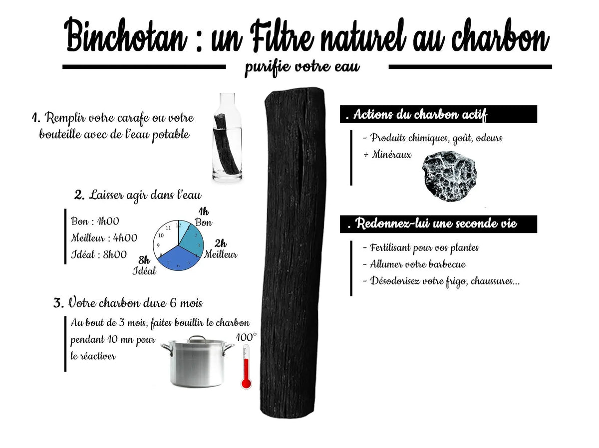 2 sticks de Binchotan SFB Laboratoires