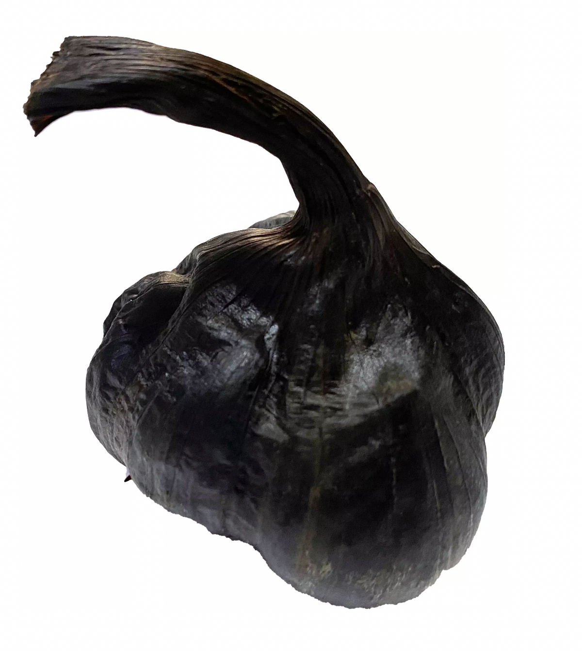 Gousse d’ail noire étalée, peau brillante et texture lisse sur fond blanc.