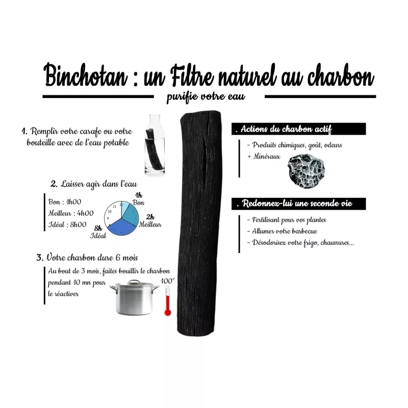 Charbon Actif Binchotan pour Purifier l'Eau du Robinet - Carafe