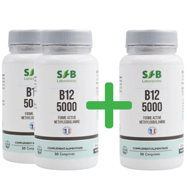 2 + 1 - Vitamine B12 Méthylcobalamine