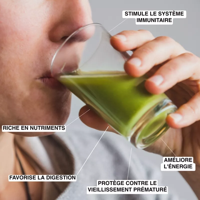 Le germe de blé, un concentré de vitalité : Bienfaits et utilisations.