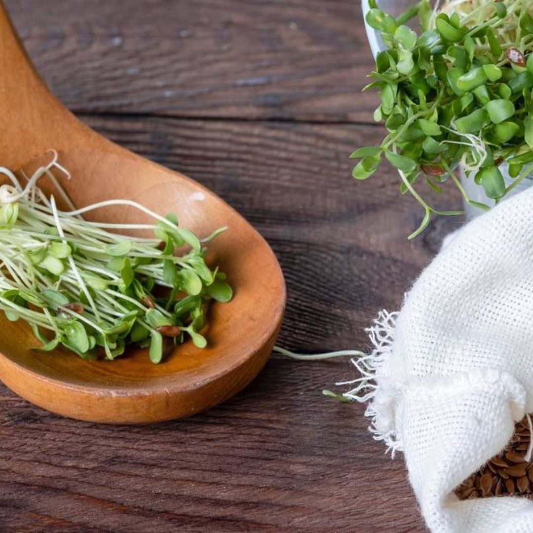 Le lin germé d'un point de vue écologique et éthique