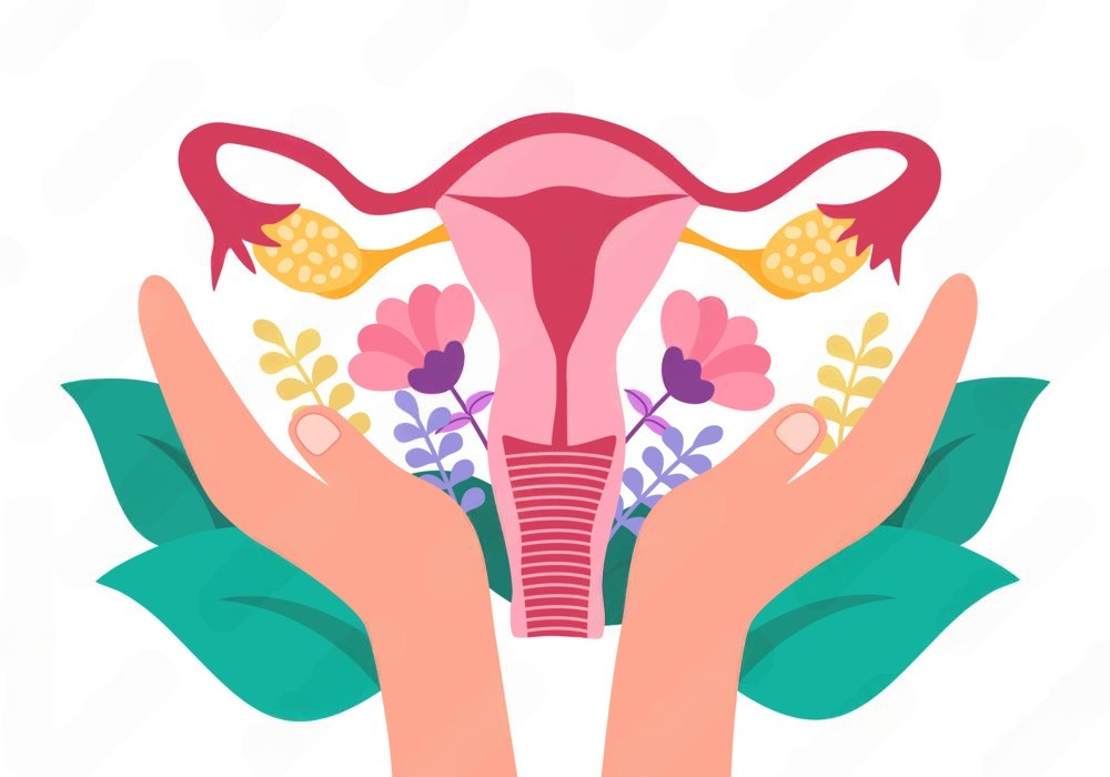 Comment rééquilibrer ses hormones et maintenir l'équilibre hormonal à la ménopause