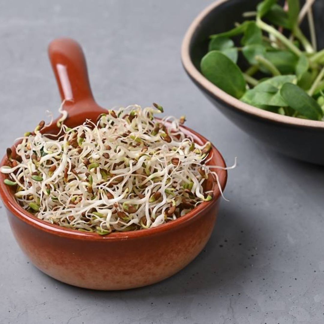 La consommation de lin germé : un allié santé à découvrir