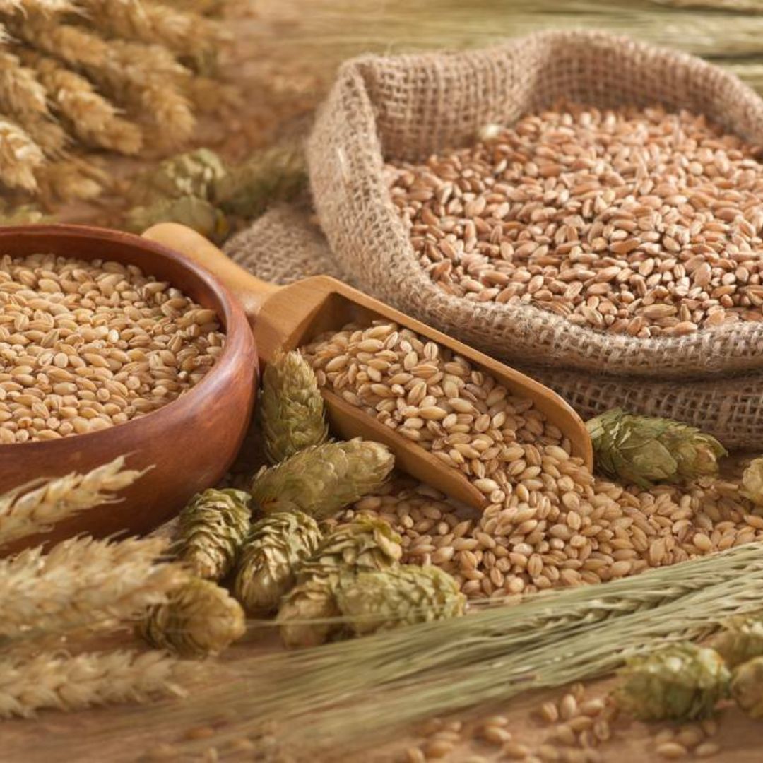 L'histoire fascinante des graines de lin et leur impact sur notre quotidien