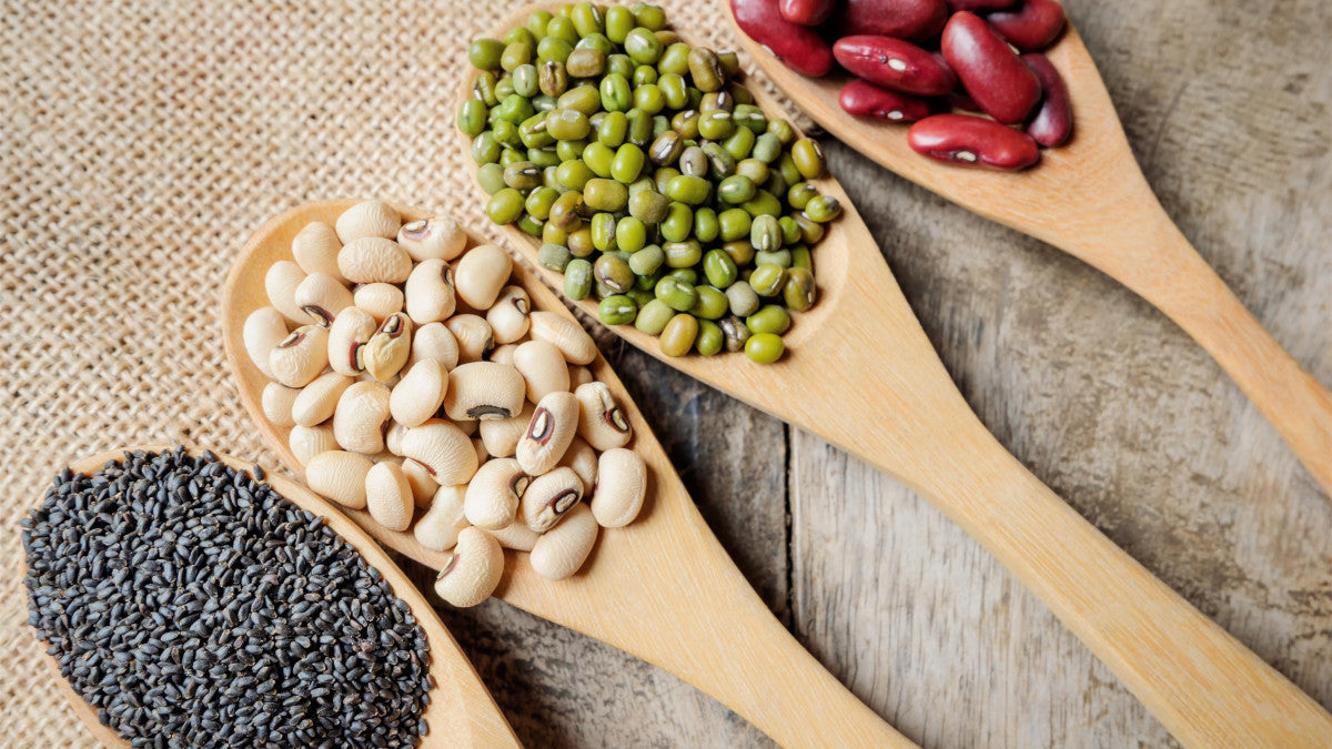 Œstrogènes naturels : sources alimentaires et traitement hormonal