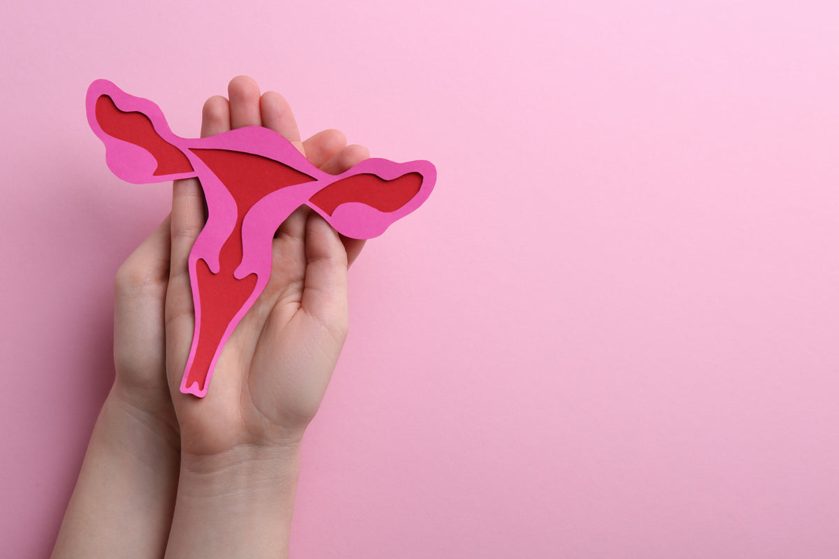 Ménopause - Complément Alimentaire - Femme - SFB Laboratoires