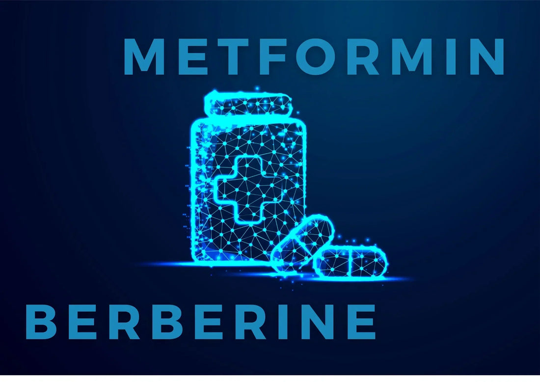 Quand dois-je prendre de la berbérine avec de la metformine ?
