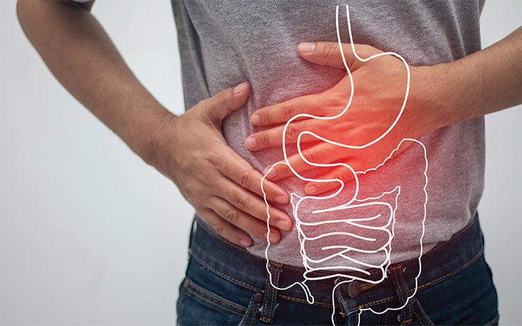 Vitamine U - Complément Alimentaire - Gastro'Regul - SFB Laboratoires