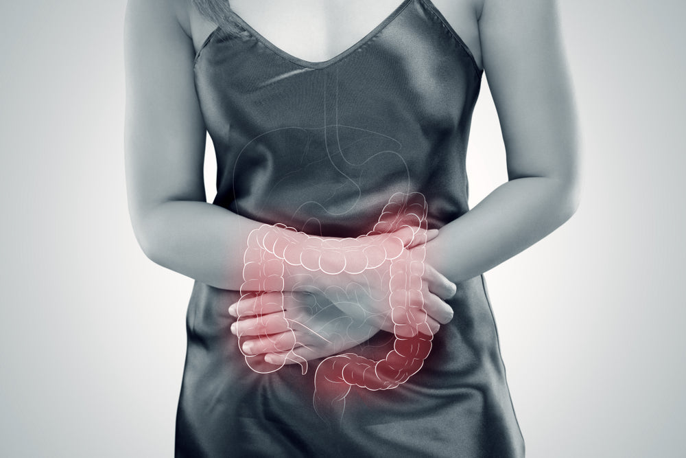 Vitamine U - Complément Alimentaire - Gastro'Regul - SFB Laboratoires