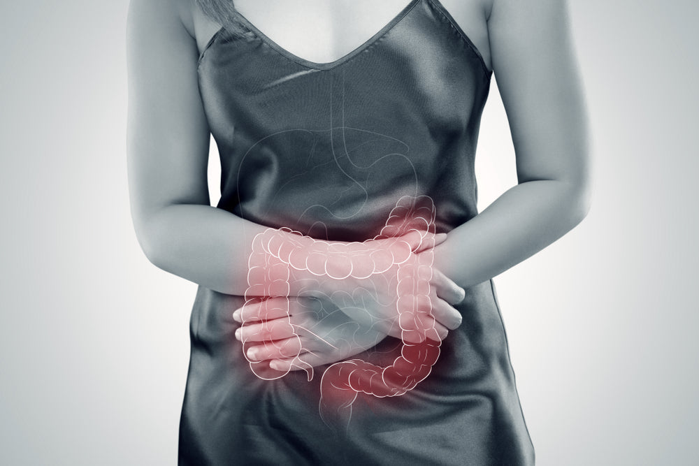 Vitamine U - Complément Alimentaire - Gastro'Regul - SFB Laboratoires