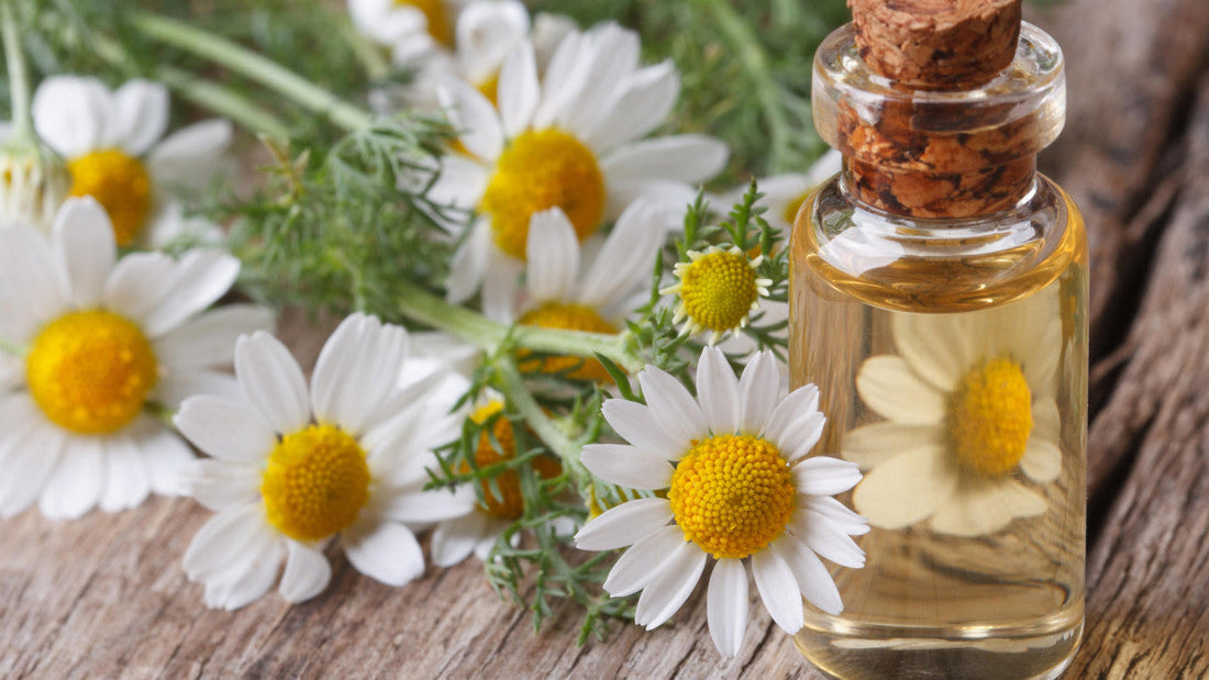 Mélatonine - Complément Alimentaire - Sommeil - SFB Laboratoires