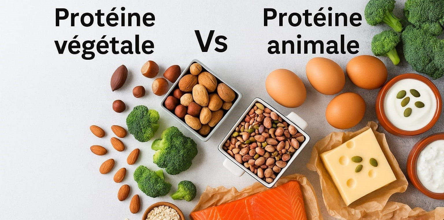 Protéine végétale plutôt qu’animale ?
