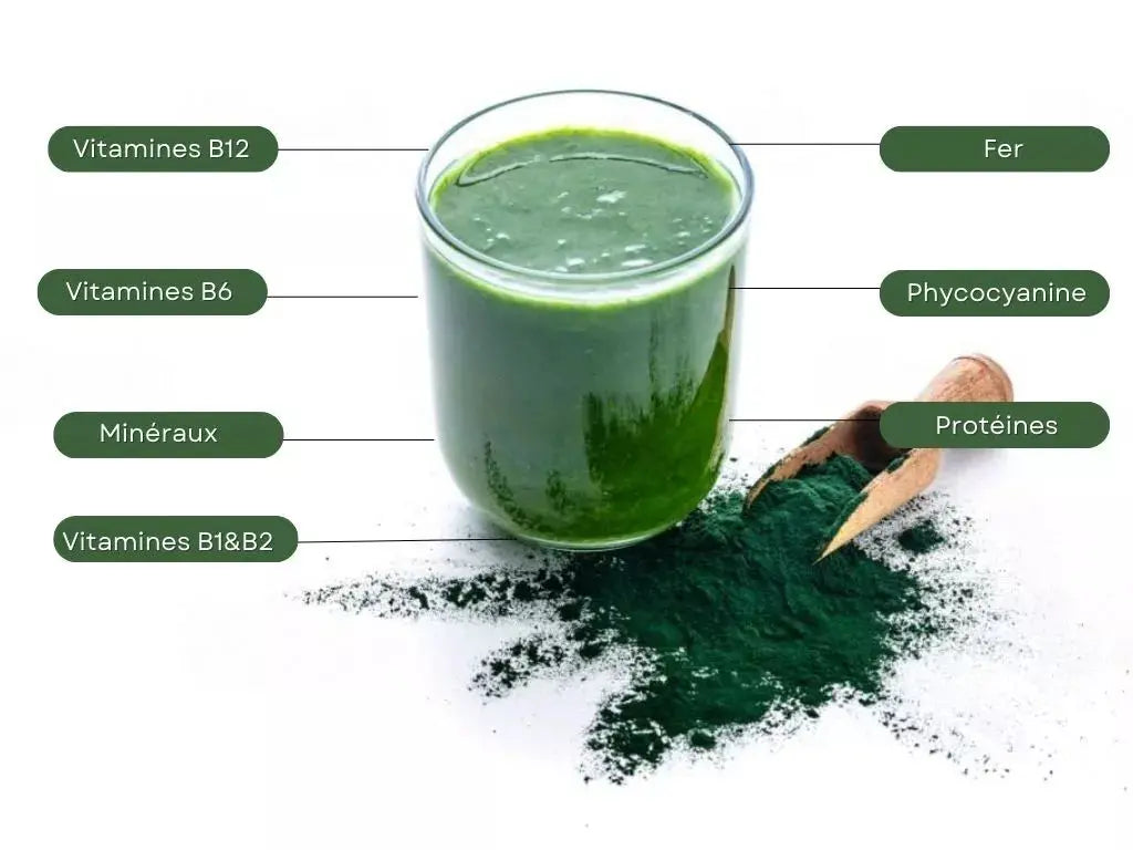 Spiruline Bio poudre - 250 g
