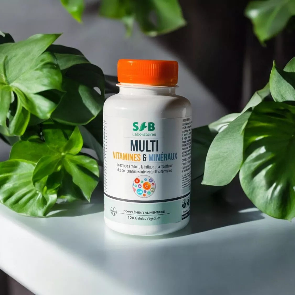 Multivitamines & Minéraux - 120 Gélules