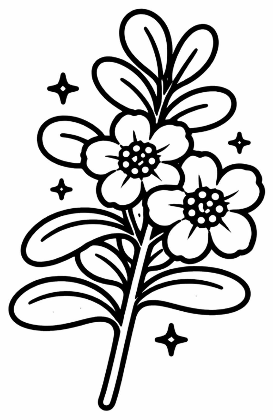 Bacopa_-_Complement_Alimentaire_-_Memoire_et_Concentration_-_Neuro_Concentration