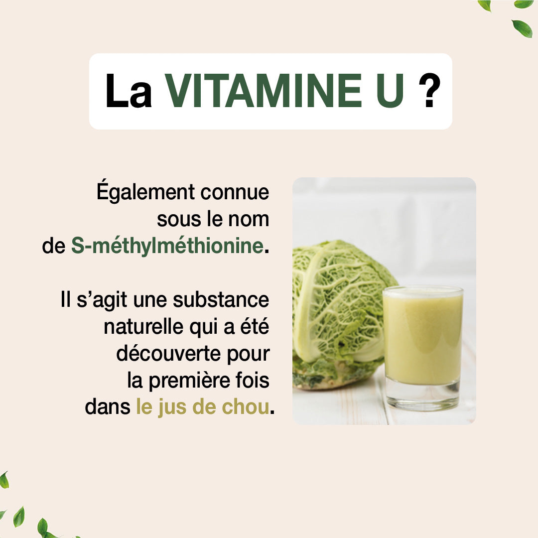 Gastro'regul - Vitamine U 50 ml