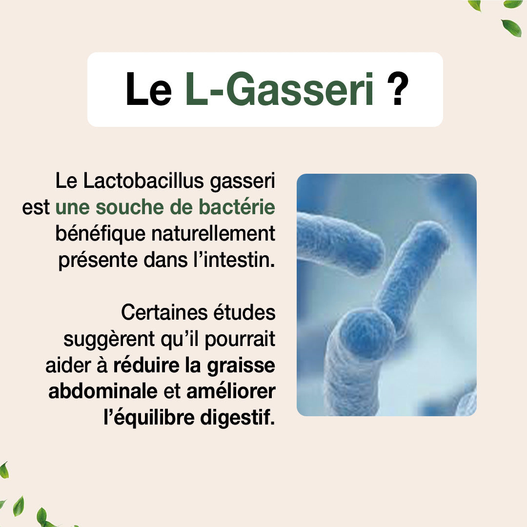 Lactobacillus Gasseri - L-Gasseri - Probiotique - Microbiote & Immunité - Complément Alimentaire 