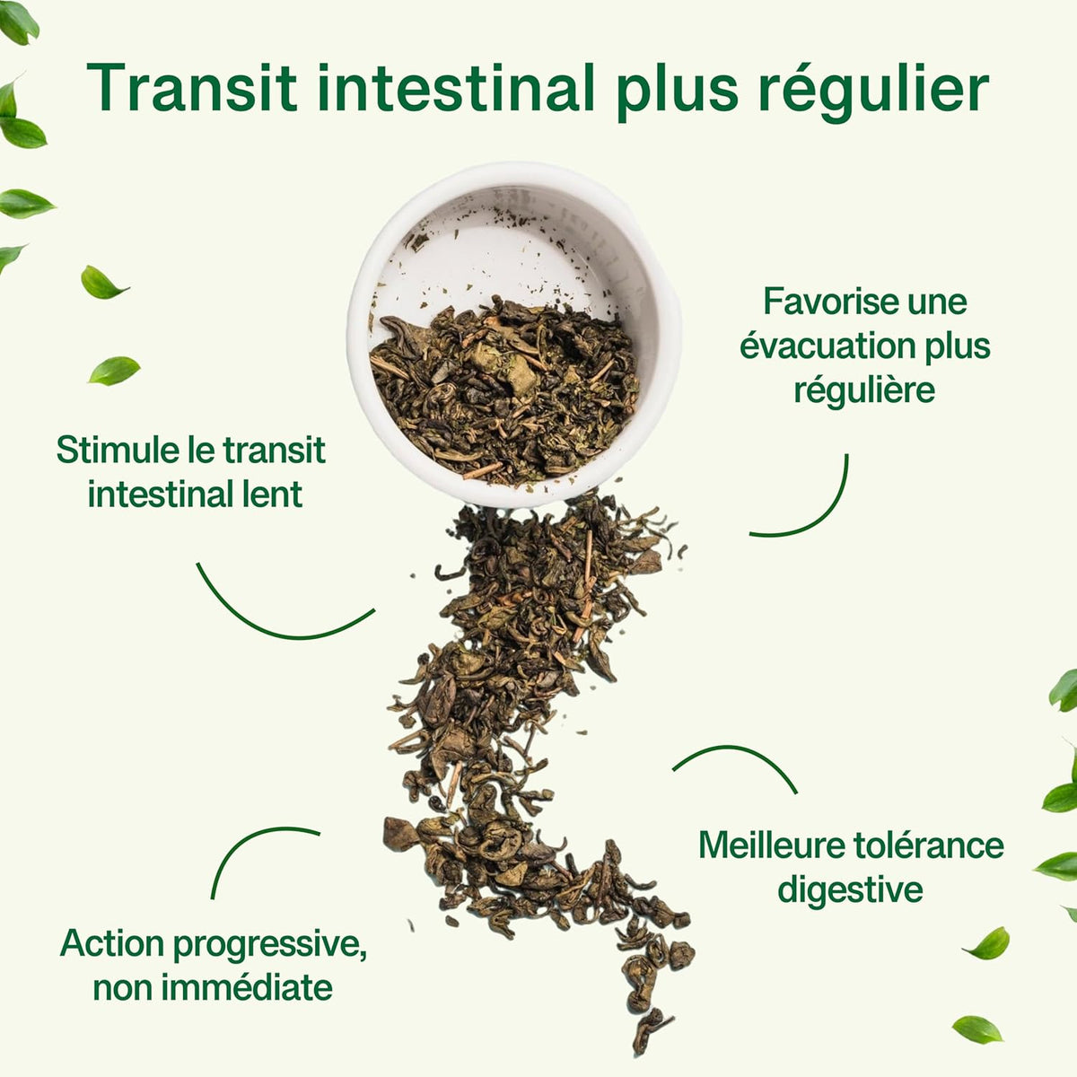 Infographie sur le transit intestinal: thé vert concassé tombant d’un bol, flèches et texte sur avantages digestifs (évacuation régulière, transit plus lent, tolérance digestive, action progressive).