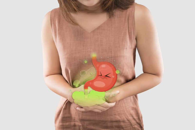 La Vitamine U : bienfaits, usages et efficacité digestive