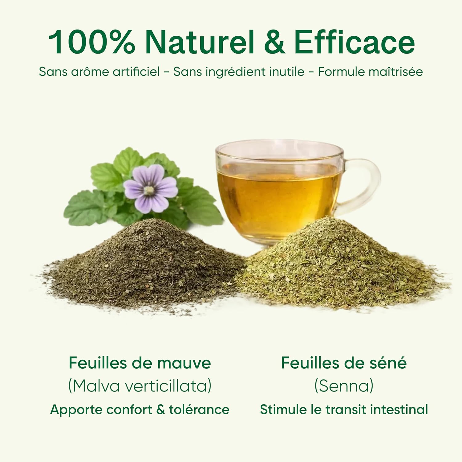Nature Slim Tea – Tisane Détox & Minceur