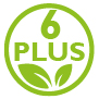 PLUS 6 - Système circulatoire